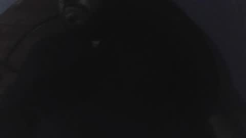 Snapshot of edu4394 chatting on 03/23/26, 02:37 edu4394 online show from 03/23/26, 02:37