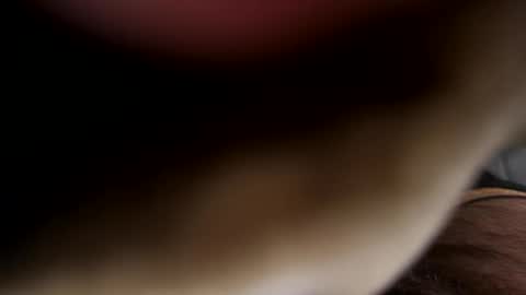 Snapshot of ehdgher chatting on 04/21/26, 07:47 ehdgher online show from 04/21/26, 07:47