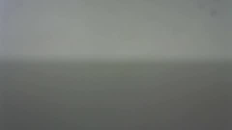 Snapshot of eider122 chatting on 02/22/26, 03:51 EIder online show from 02/22/26, 03:51