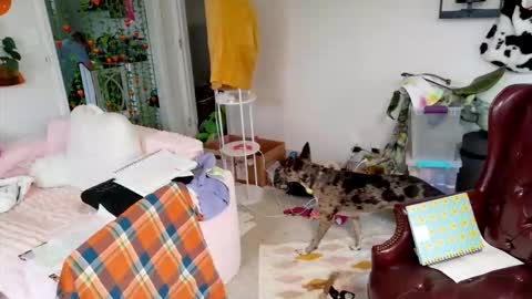 ejrabloom online show from 03/16/26, 07:29