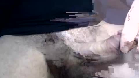 el gato lusty online show from 01/30/25, 01:42
