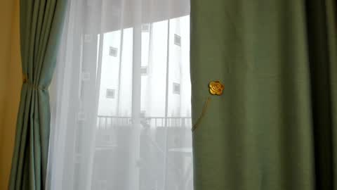 Ela online show from 01/22/25, 10:50