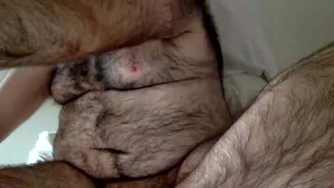 elabear online show from 12/23/24, 03:33