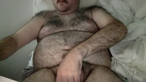 elabear online show from 03/25/26, 05:57