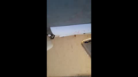 Snapshot of elaine33mae chatting on 03/03/26, 06:41 elaine33mae online show from 03/03/26, 06:41