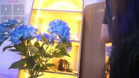 Elasummeer online show from 11/25/25, 11:54