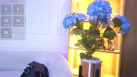 Elasummeer online show from 12/02/25, 11:48