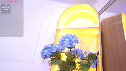 Snapshot of elasummeer chatting on 12/18/25, 11:49 Elasummeer online show from 12/18/25, 11:49