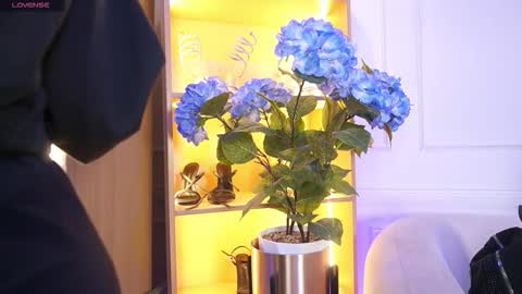 Snapshot of elasummeer chatting on 12/20/25, 11:50 Elasummeer online show from 12/20/25, 11:50