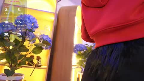 Snapshot of elasummeer chatting on 01/12/26, 11:37 Elasummeer online show from 01/12/26, 11:37