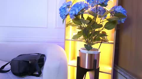 Snapshot of elasummeer chatting on 01/13/26, 11:48 Elasummeer online show from 01/13/26, 11:48