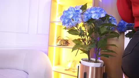 Snapshot of elasummeer chatting on 01/14/26, 12:00 Elasummeer online show from 01/14/26, 12:00