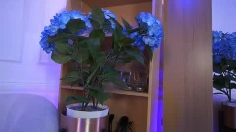 Snapshot of elasummeer chatting on 02/04/26, 02:23 Elasummeer online show from 02/04/26, 02:23