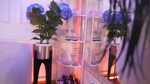 Snapshot of elasummeer chatting on 02/12/26, 12:00 Elasummeer online show from 02/12/26, 12:00