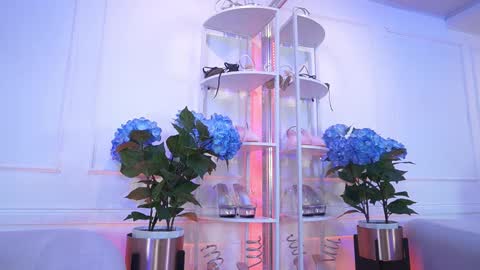 Snapshot of elasummeer chatting on 02/13/26, 11:50 Elasummeer online show from 02/13/26, 11:50