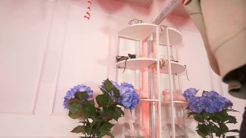 Snapshot of elasummeer chatting on 02/14/26, 11:51 Elasummeer online show from 02/14/26, 11:51