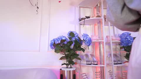 Snapshot of elasummeer chatting on 02/19/26, 11:50 Elasummeer online show from 02/19/26, 11:50