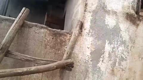 eldie69 online show from 11/29/25, 10:51