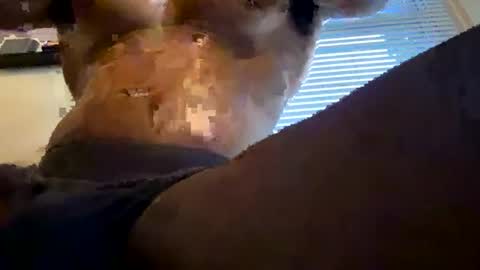 EL-Disiac online show from 07/21/26, 12:46