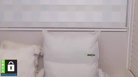 Snapshot of eleanore1 chatting on 12/15/25, 08:51 eleanore online show from 12/15/25, 08:51