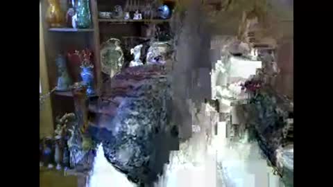 ElenaZed online show from 02/10/26, 09:13