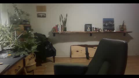 Snapshot of elephantfox chatting on 03/02/25, 04:50 fox online show from 03/02/25, 04:50