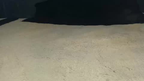 elgsslt online show from 04/21/26, 11:05