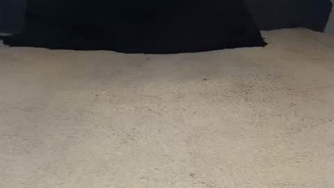 elgsslt online show from 04/23/26, 09:30