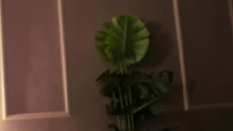 Eli online show from 02/18/25, 04:48