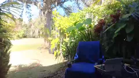 eliberator online show from 02/09/25, 07:52