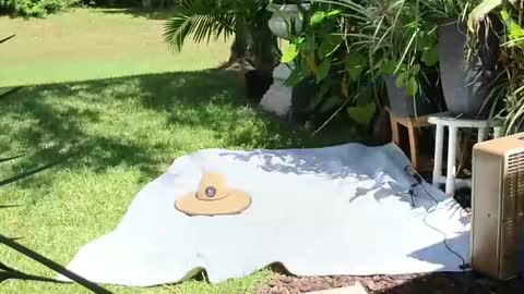 eliberator online show from 09/21/25, 05:03