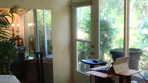 Snapshot of eliberator chatting on 06/13/26, 03:32 eliberator online show from 06/13/26, 03:32