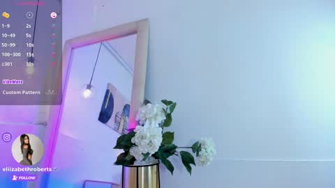 Snapshot of eliizabeth_roberts chatting on 03/08/25, 07:38 E L I I Z A B E T H online show from 03/08/25, 07:38