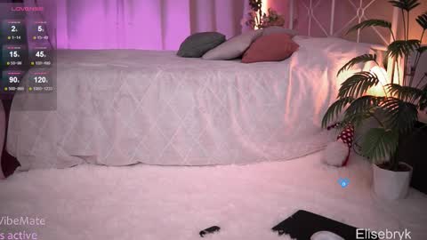 Snapshot of elise_bryk chatting on 11/27/25, 04:20 hiIm Elise online show from 11/27/25, 04:20