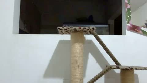 Elizabeth Martinez  online show from 01/18/25, 02:03