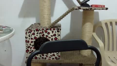 Elizabeth Martinez  online show from 09/16/25, 02:51