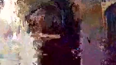 elizabit online show from 04/05/26, 09:28