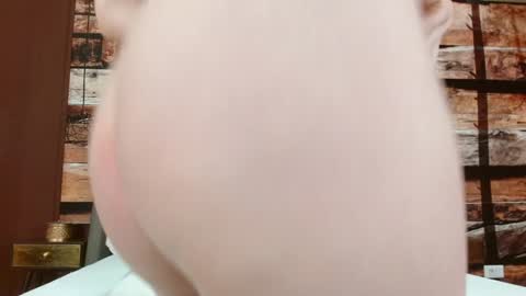 Snapshot of elle_luv chatting on 02/06/25, 06:40 Elle online show from 02/06/25, 06:40