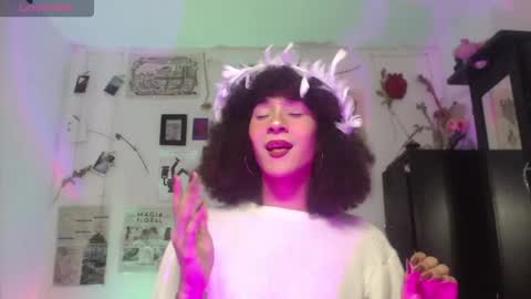  . online show from 11/26/25, 07:37