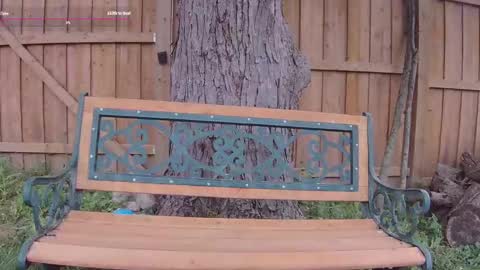 Ella Bella Bo Bella online show from 09/13/25, 05:13