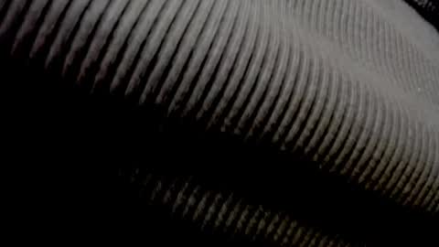 Elly online show from 04/27/26, 11:30