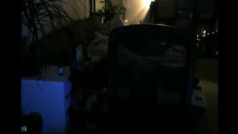 Snapshot of elmetatepeta chatting on 03/09/26, 02:48 ElMetaTeDa online show from 03/09/26, 02:48