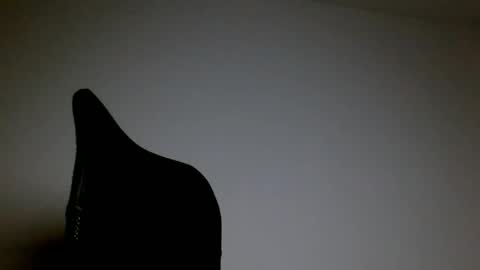 elosocazador online show from 04/21/26, 12:56