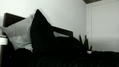 Snapshot of elputoquetegusta chatting on 12/03/25, 10:08 elputoquetegusta online show from 12/03/25, 10:08