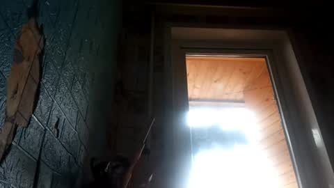 Alisa online show from 04/25/26, 09:45