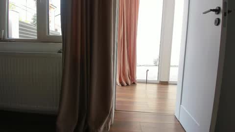 Ely online show from 04/22/26, 05:54