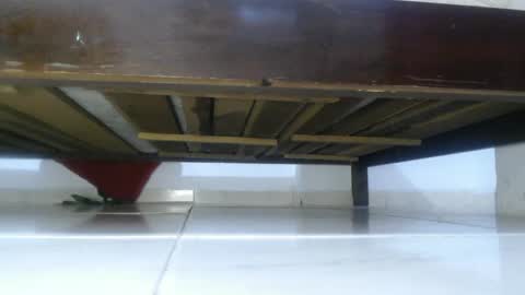 E L Z A  online show from 03/04/25, 03:37