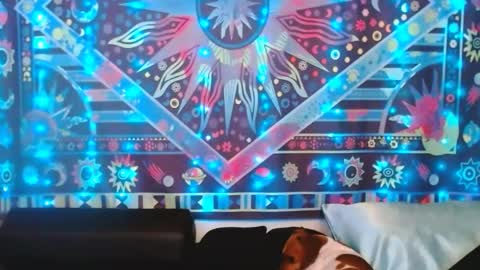 Snapshot of ember_starleena chatting on 02/24/25, 05:31 Ember Starleena online show from 02/24/25, 05:31