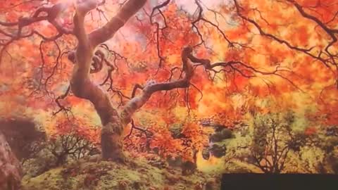 Snapshot of ember_starleena chatting on 09/29/25, 01:16 Ember Starleena online show from 09/29/25, 01:16