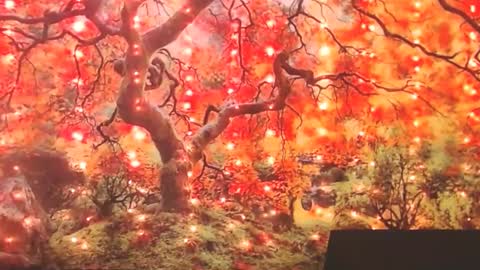 Snapshot of ember_starleena chatting on 09/30/25, 01:49 Ember Starleena online show from 09/30/25, 01:49